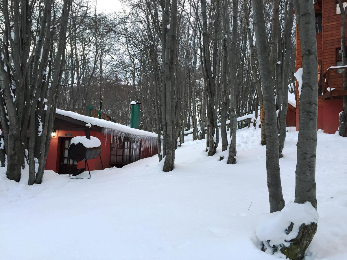 Cabanas Bosque Del Faldeo อูซัวยา ภายนอก รูปภาพ