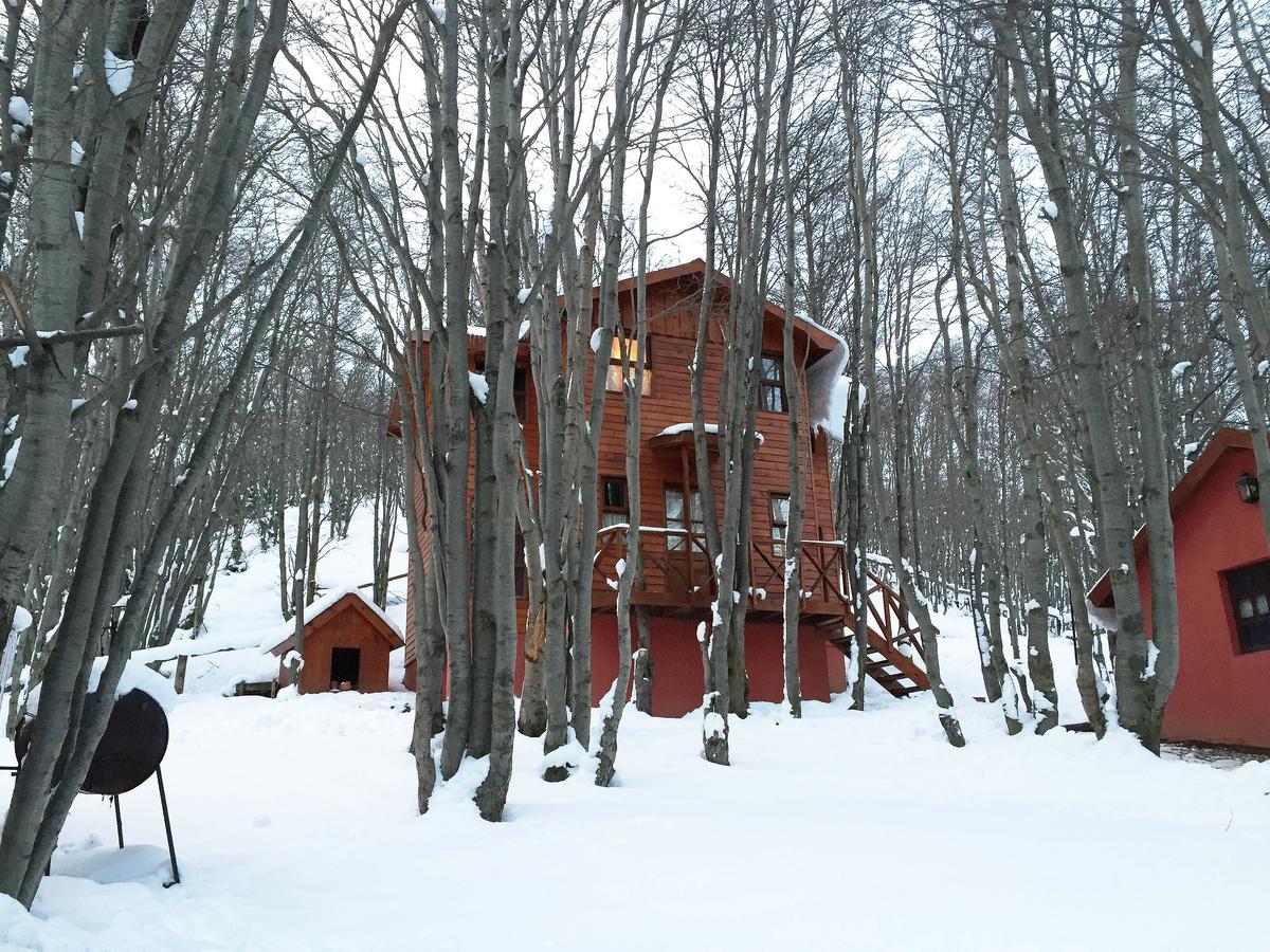 Cabanas Bosque Del Faldeo อูซัวยา ภายนอก รูปภาพ
