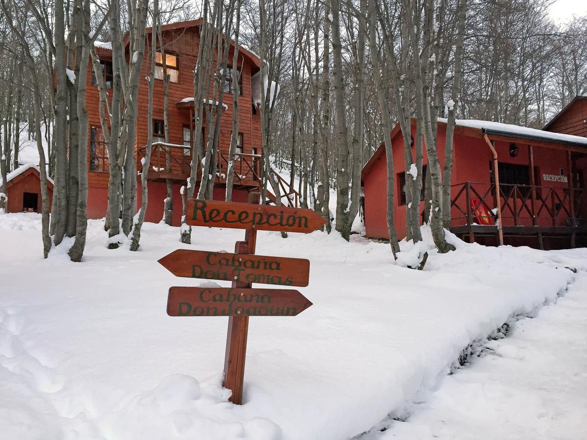 Cabanas Bosque Del Faldeo อูซัวยา ภายนอก รูปภาพ