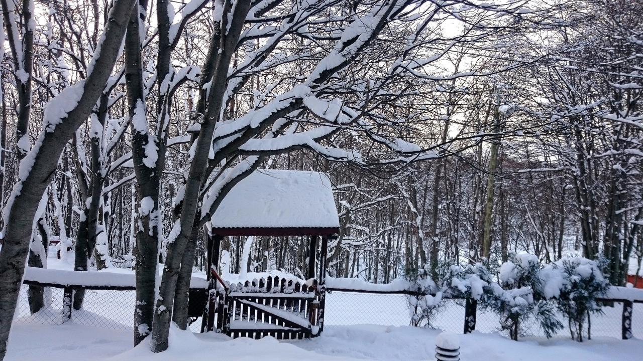 Cabanas Bosque Del Faldeo อูซัวยา ภายนอก รูปภาพ