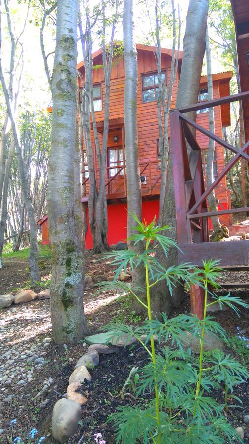 Cabanas Bosque Del Faldeo อูซัวยา ภายนอก รูปภาพ